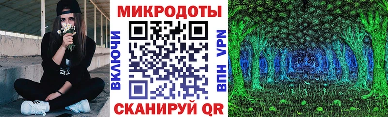 Псилоцибиновые грибы Psilocybine cubensis  Великий Устюг 